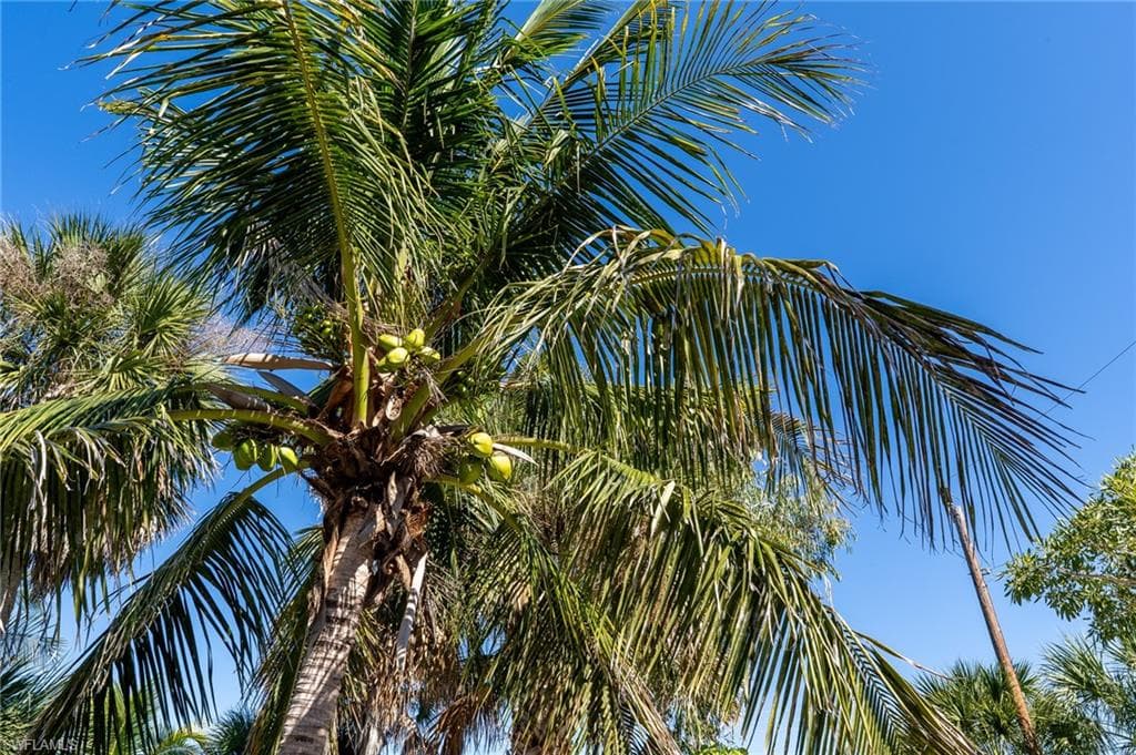 5801 Sanibel Captiva RD-43