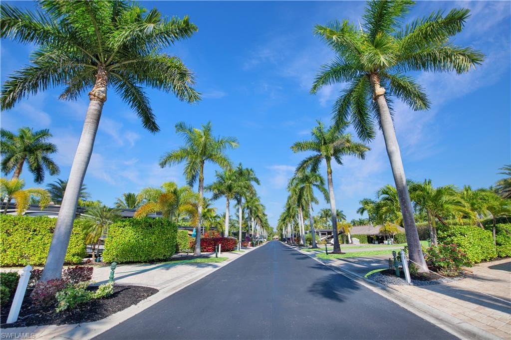13553 Snapper LN-15