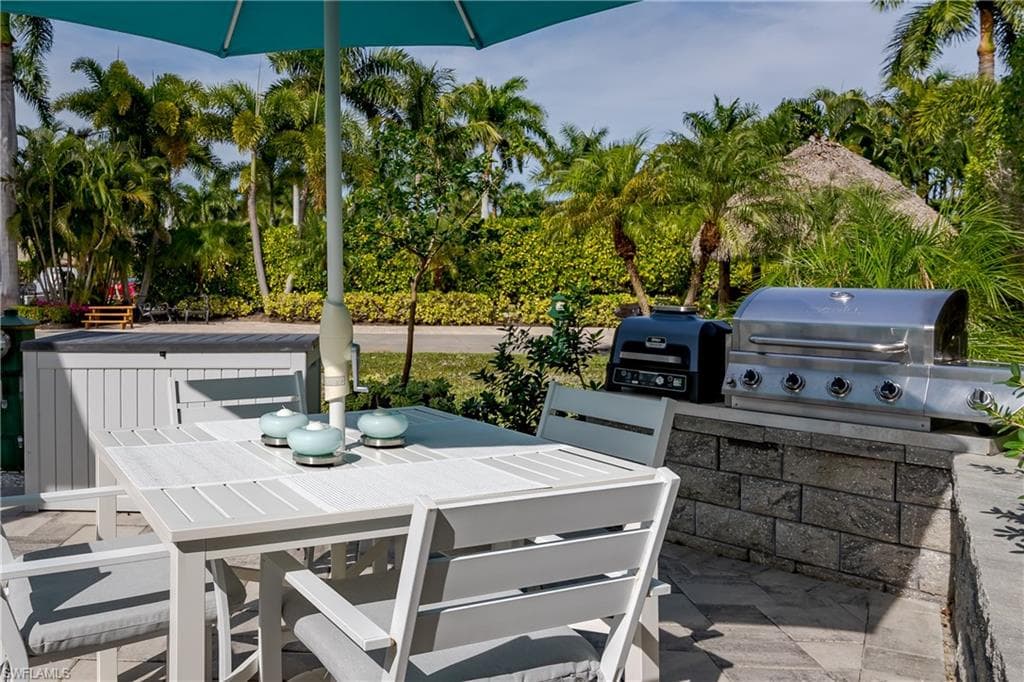13598 Snapper LN-20