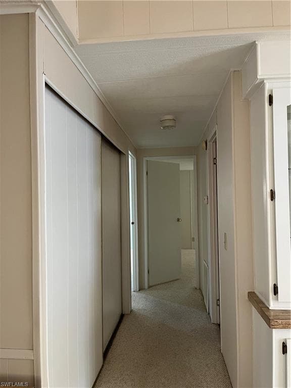 65 Sunset CIR-17