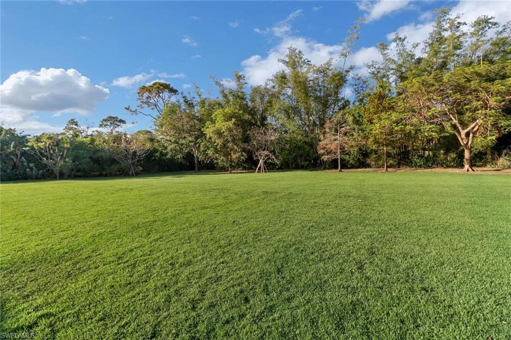 65 Mahogany DR-33
