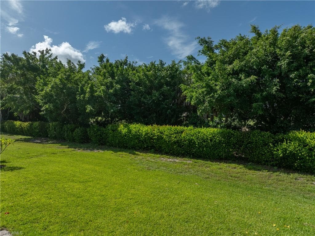 3944 Black Eagle LN-34