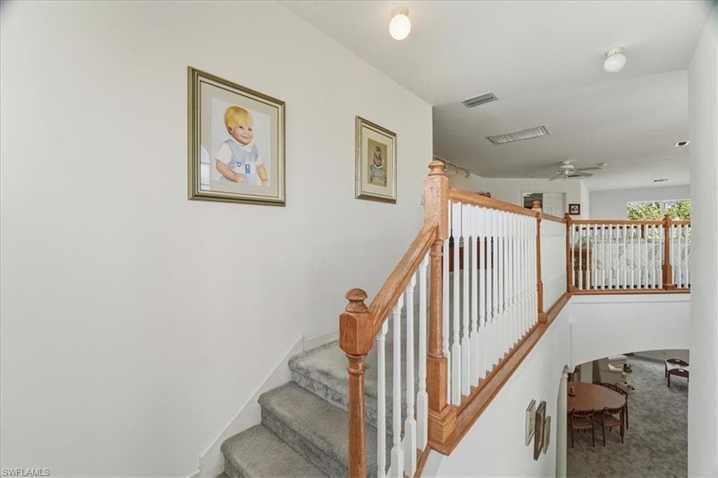 9346 Spanish Moss WAY-41