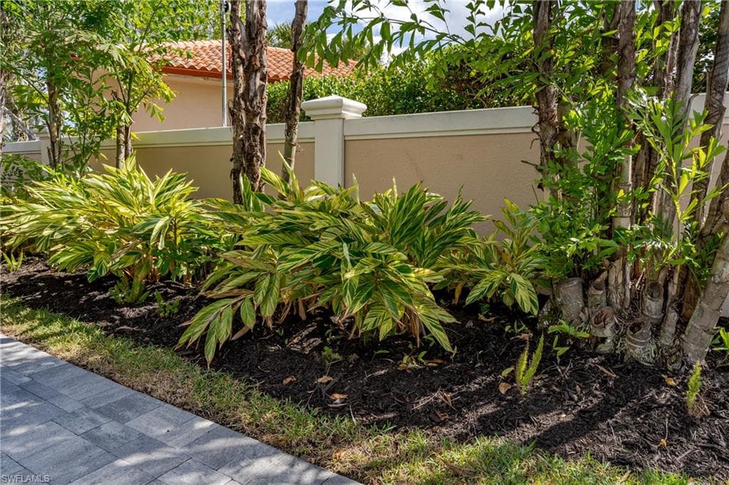 13547 Snook CIR-8