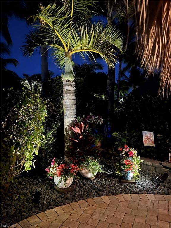 13466 Ladyfish LN-36