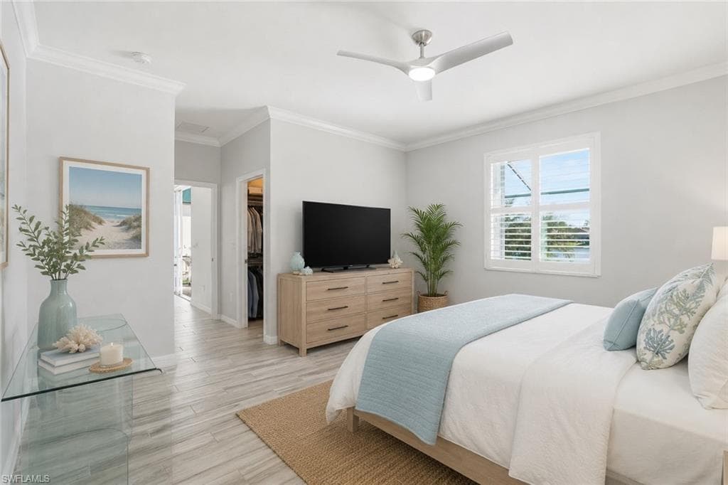 9551 Albero CT-12