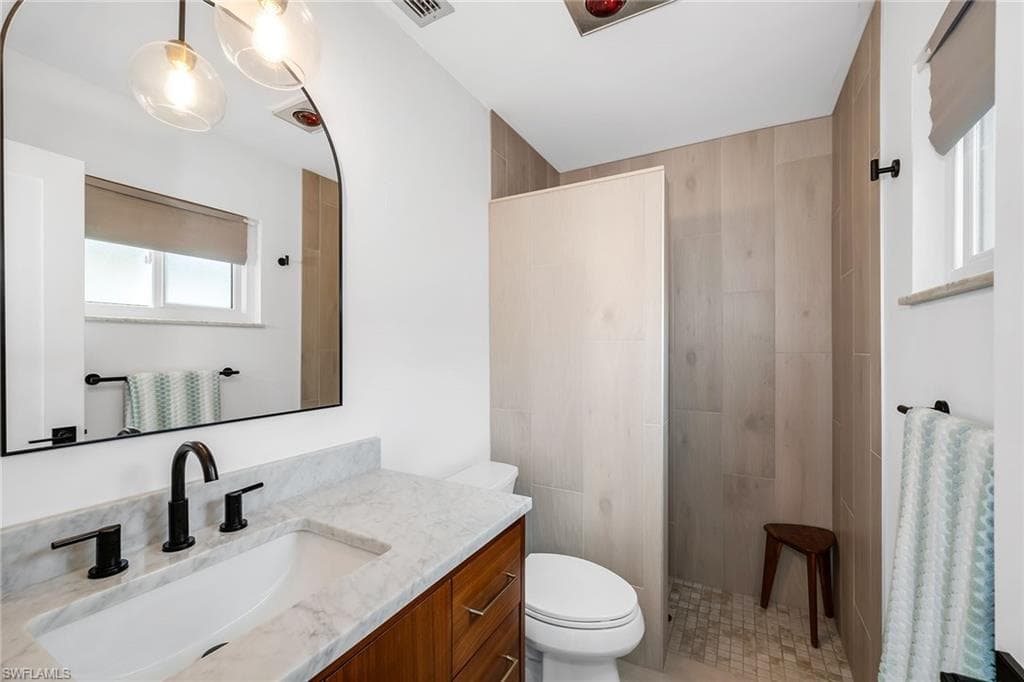 280 Ibis ST-17