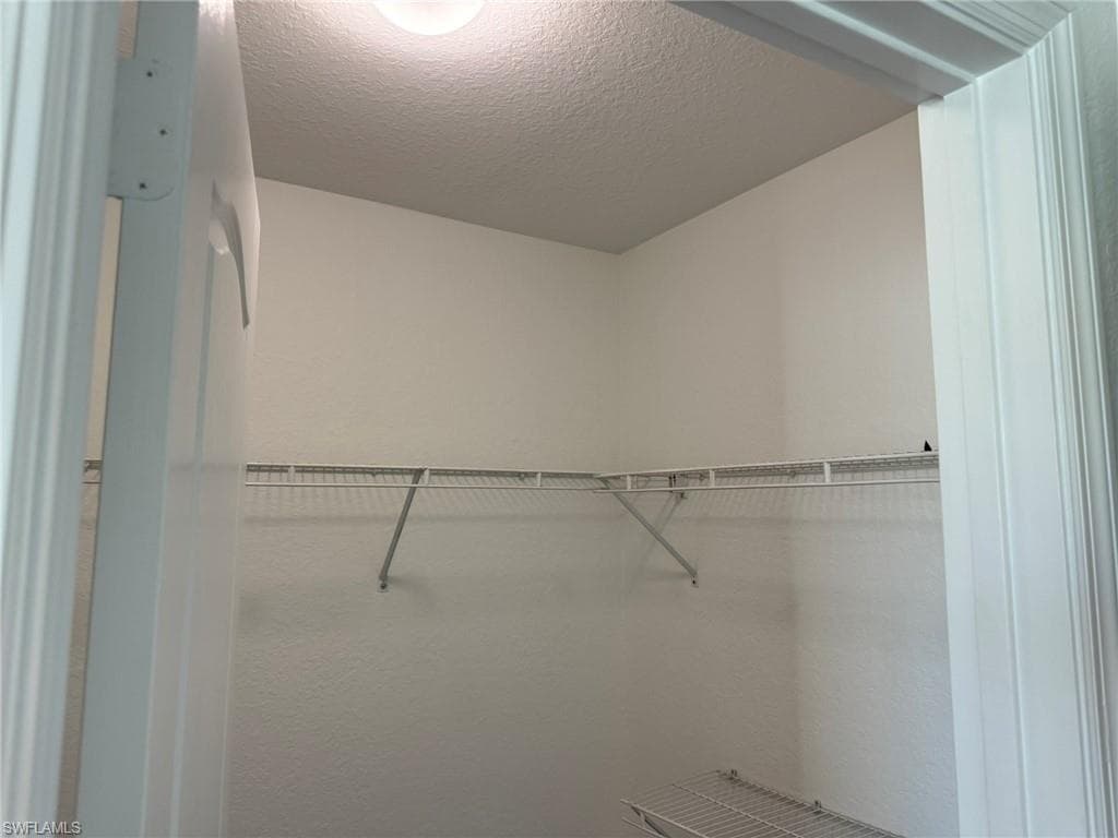 1376 Weeping Willow CT-36
