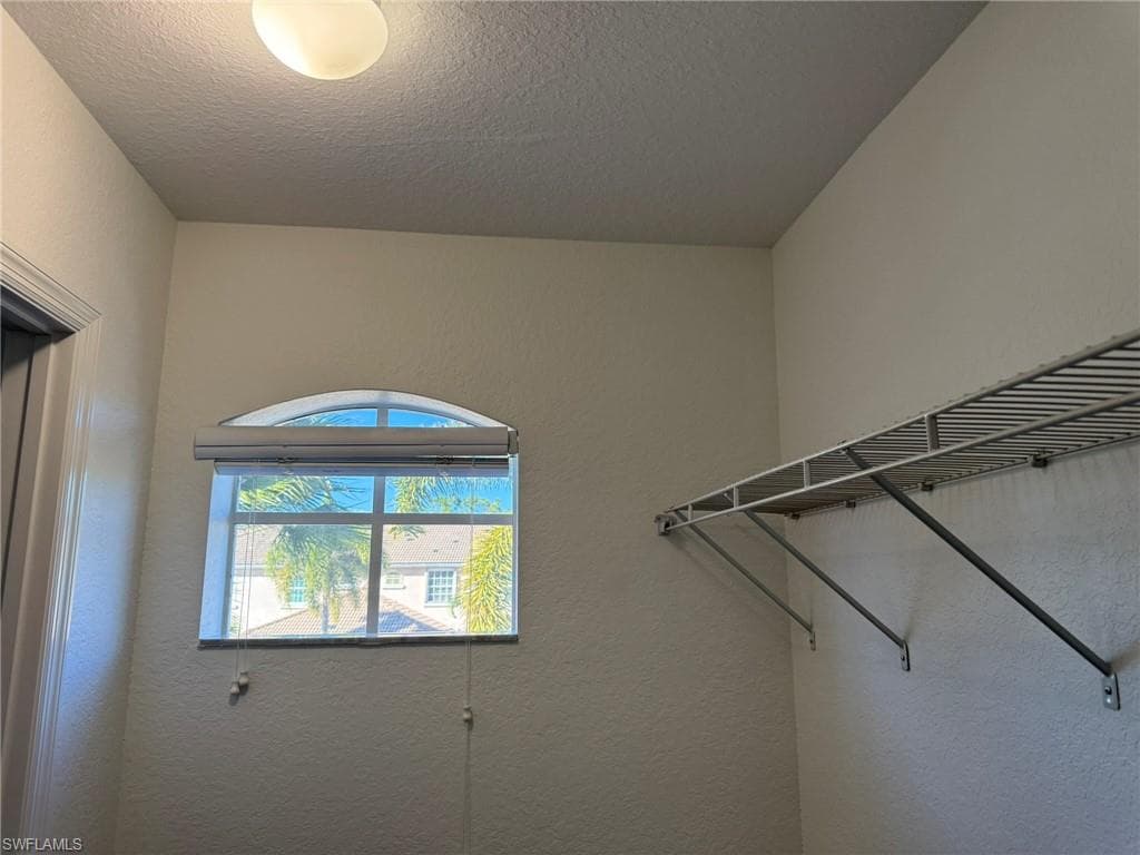 1376 Weeping Willow CT-30