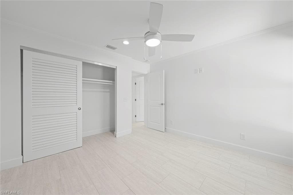 736 Donax ST-23