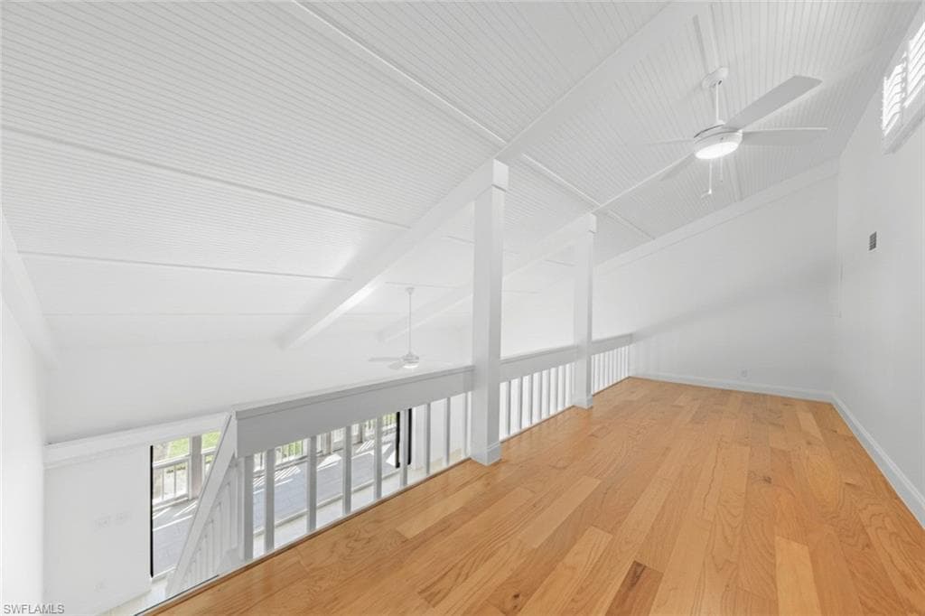 736 Donax ST-24