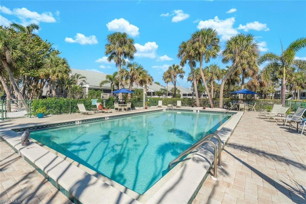 736 Donax ST-29