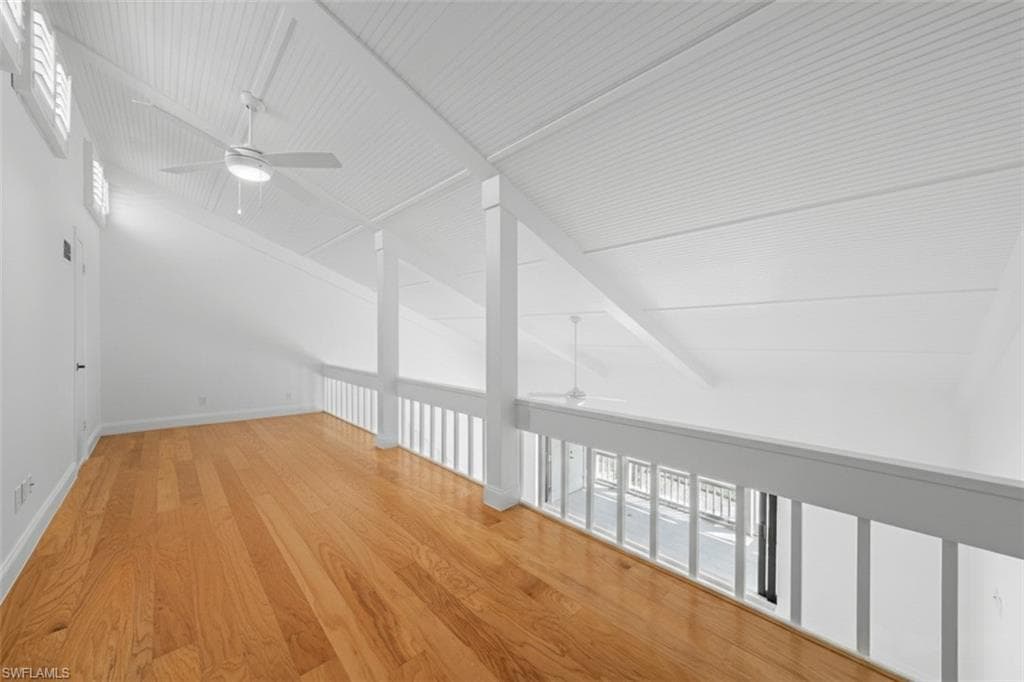 736 Donax ST-25