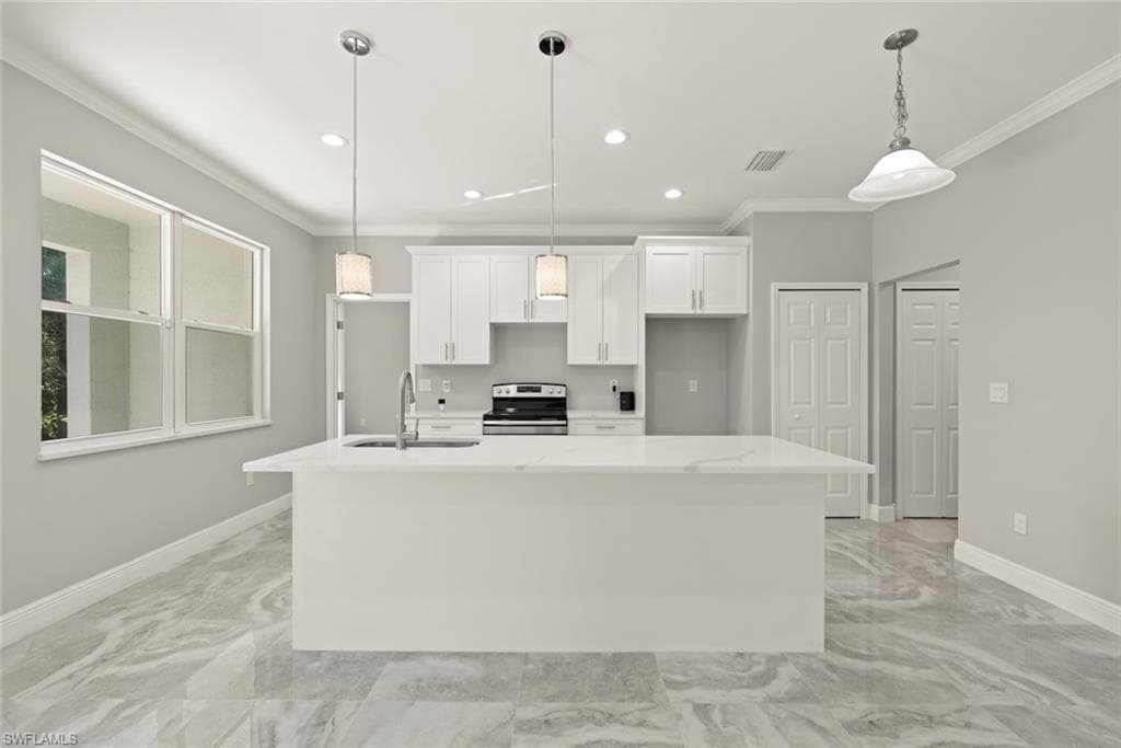 897 Iris DR-19