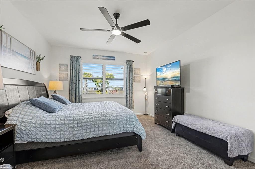 3772 Passion Vine DR-29