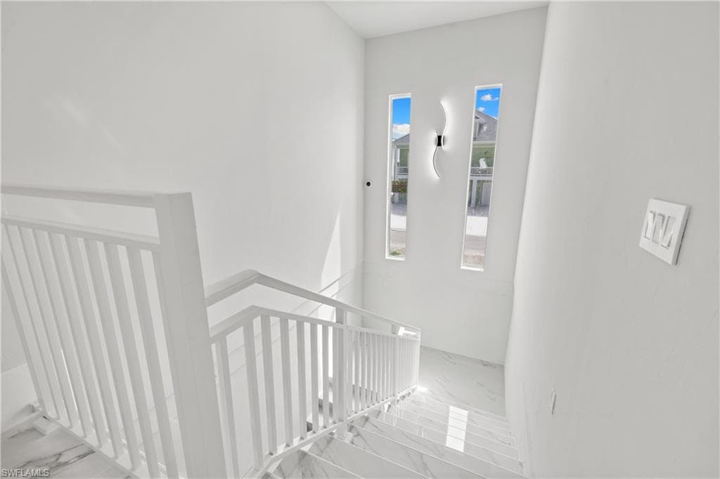 137 Hibiscus DR-17