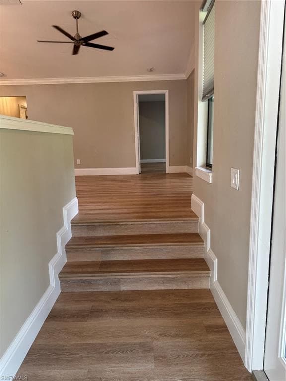 17593 Osprey Inlet CT-5