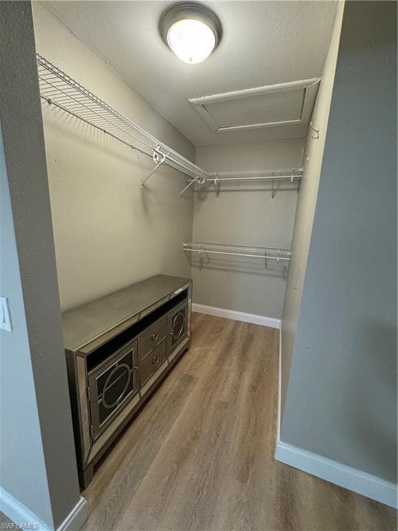17593 Osprey Inlet CT-21