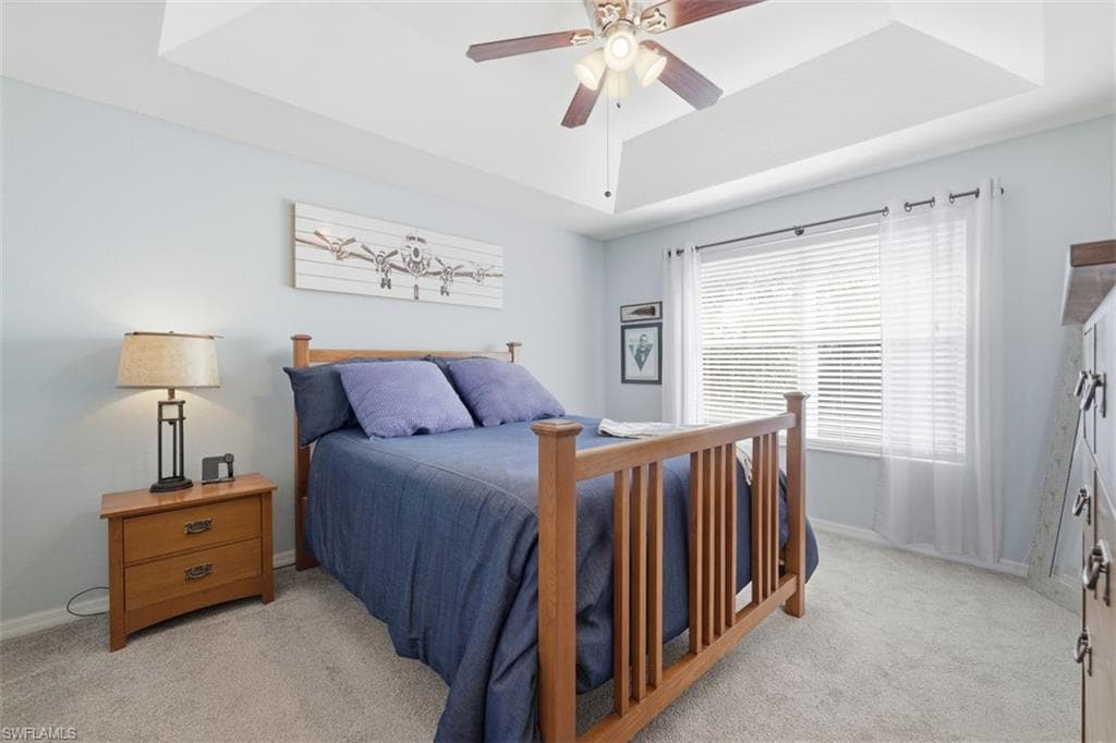 15150 Piping Plover CT 103-16