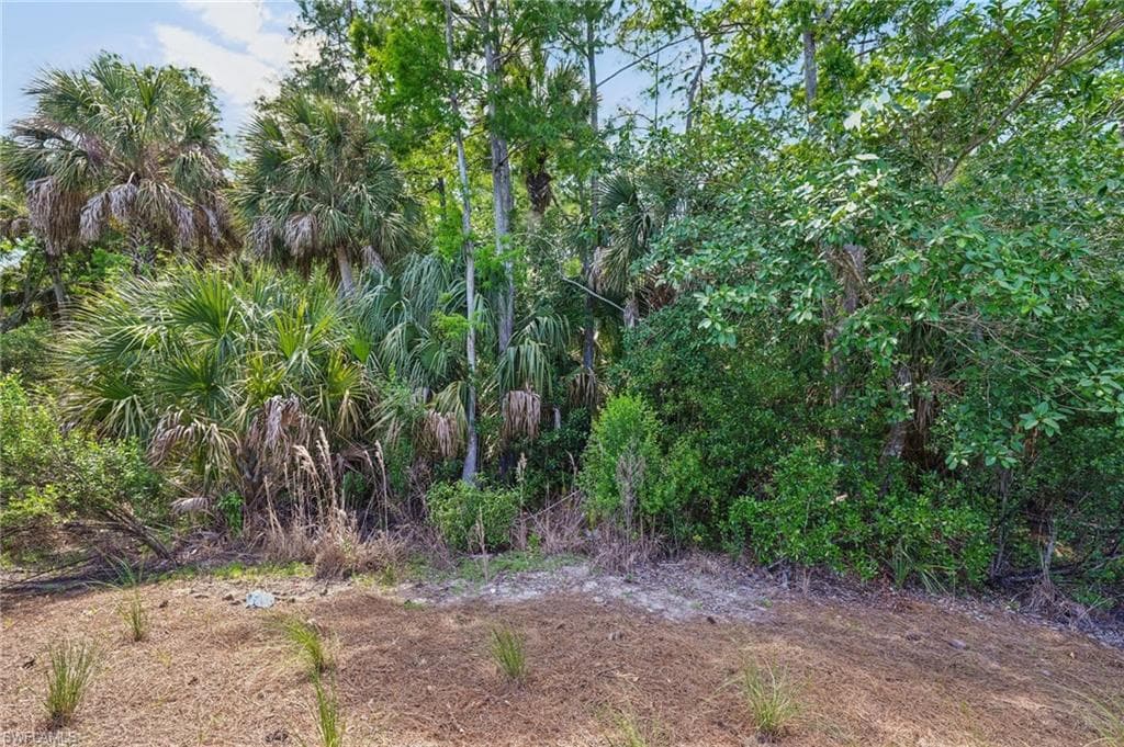 10395 Ventana LN-41