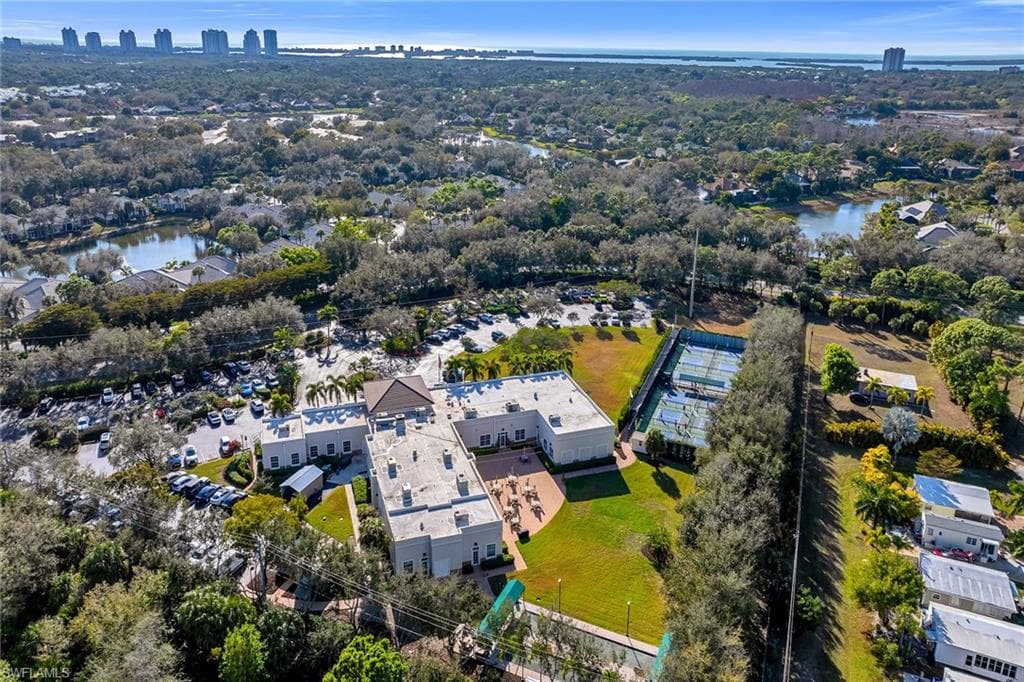3480 Fiddlehead CT-43