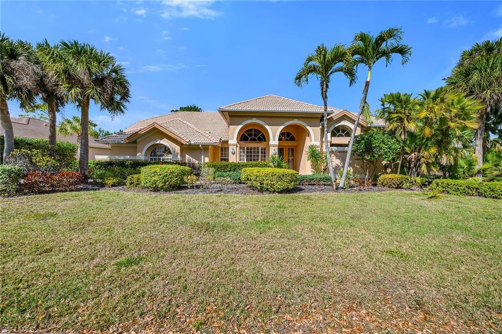 3480 Fiddlehead CT-1