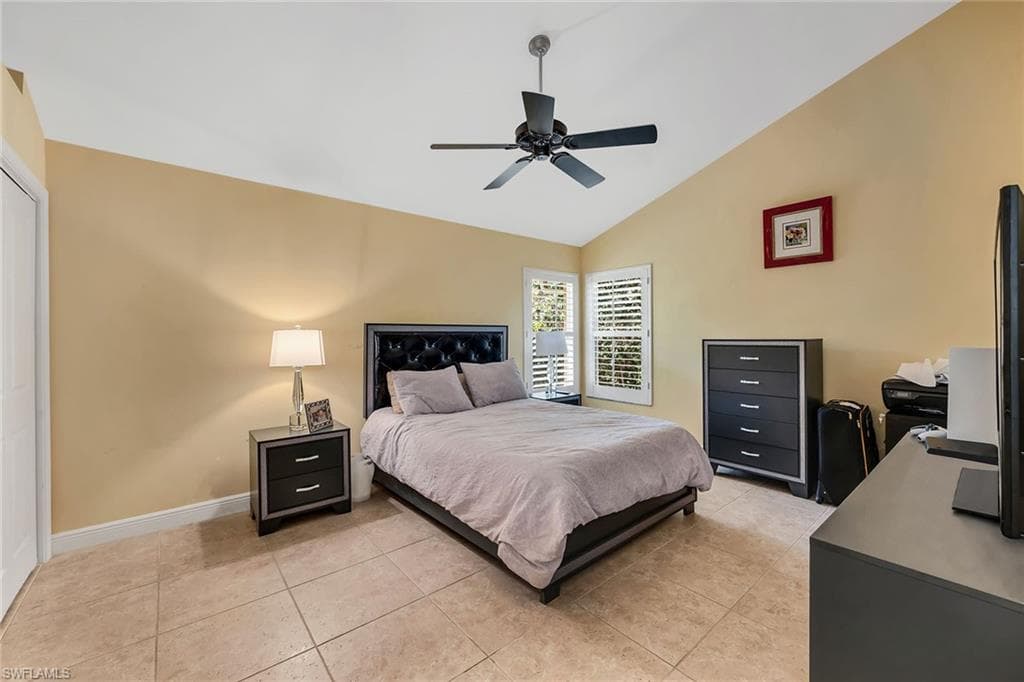 3480 Fiddlehead CT-24