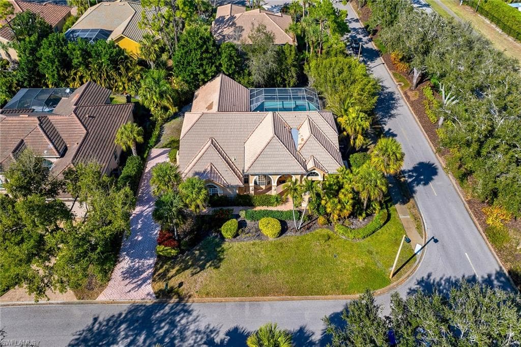 3480 Fiddlehead CT-38