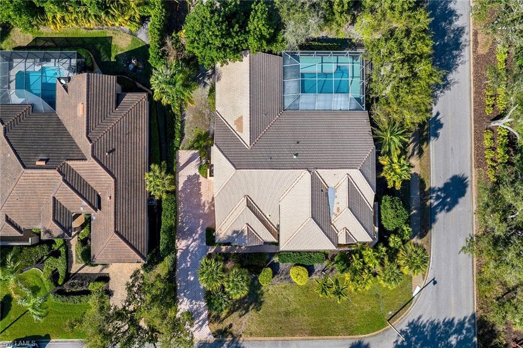 3480 Fiddlehead CT-41