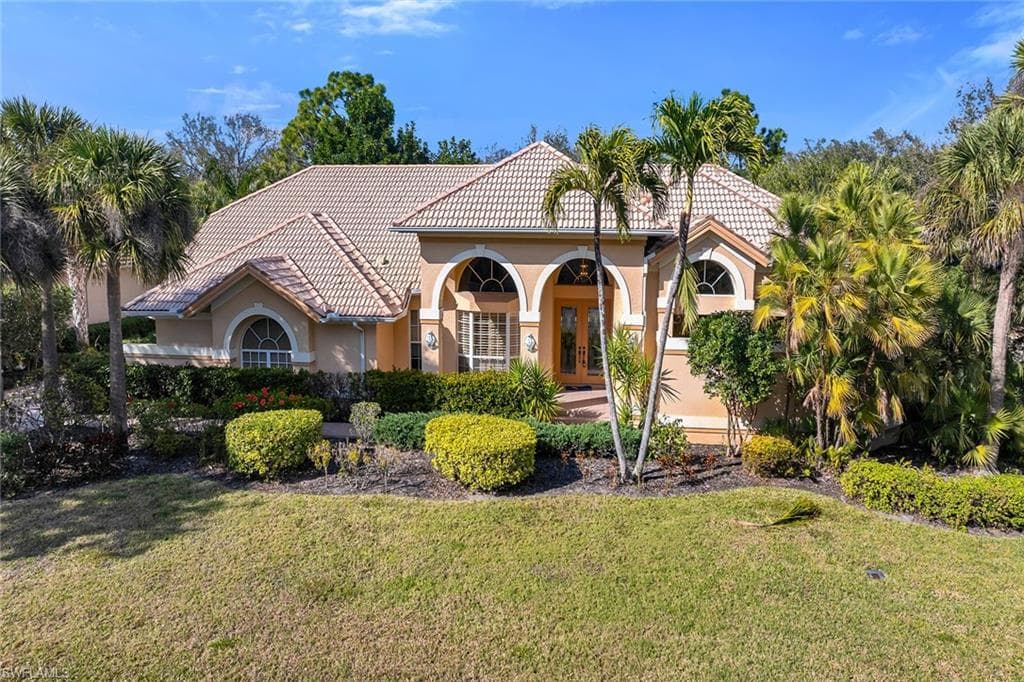 3480 Fiddlehead CT-37