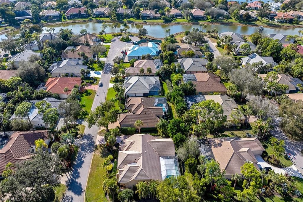 3480 Fiddlehead CT-39