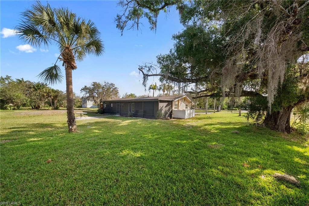 15380 Will Lew LN-31