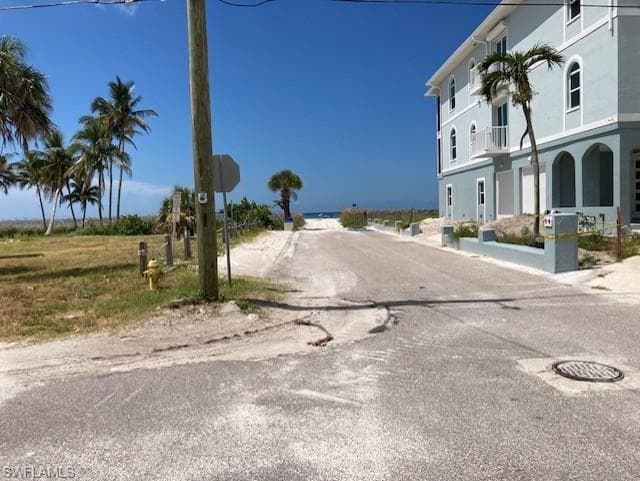 81 Mango ST-12