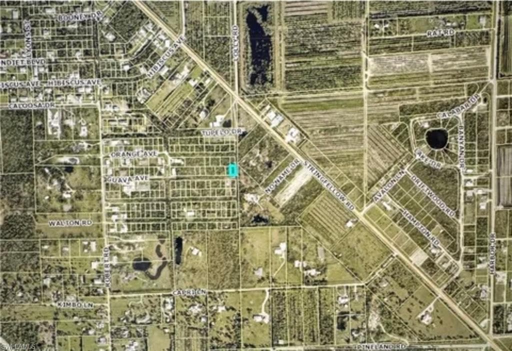 7000 Guava AVE-3