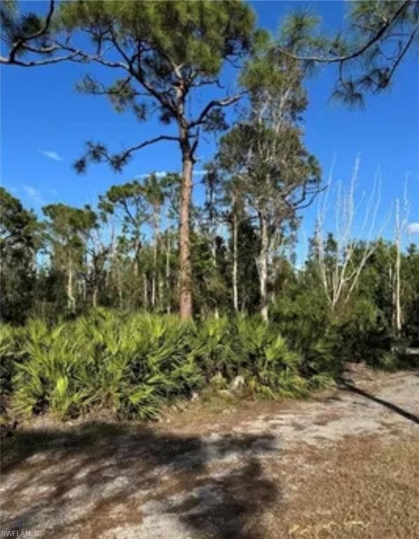 7000 Guava AVE-11