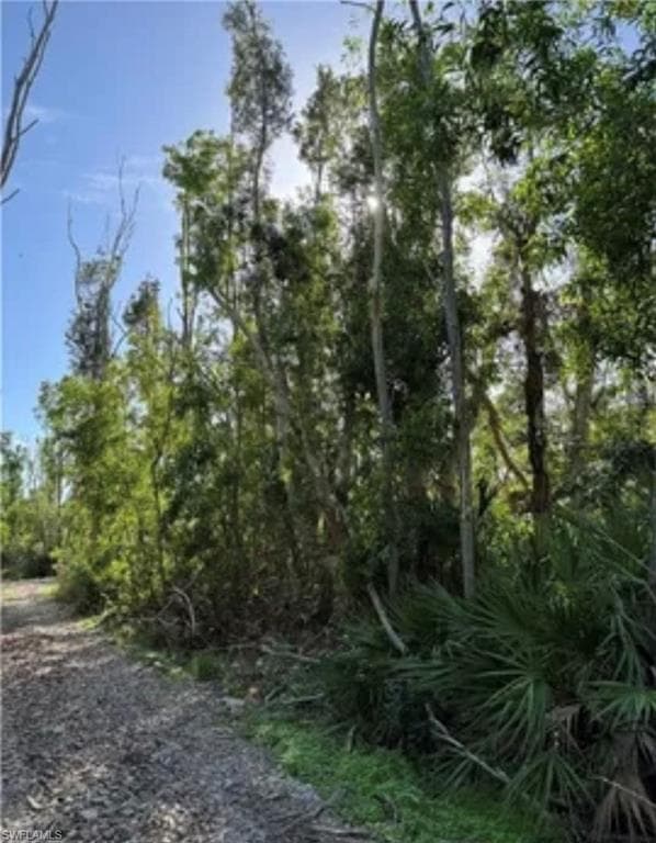 7000 Guava AVE-8
