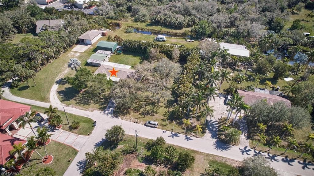 15321 Will Lew LN-6