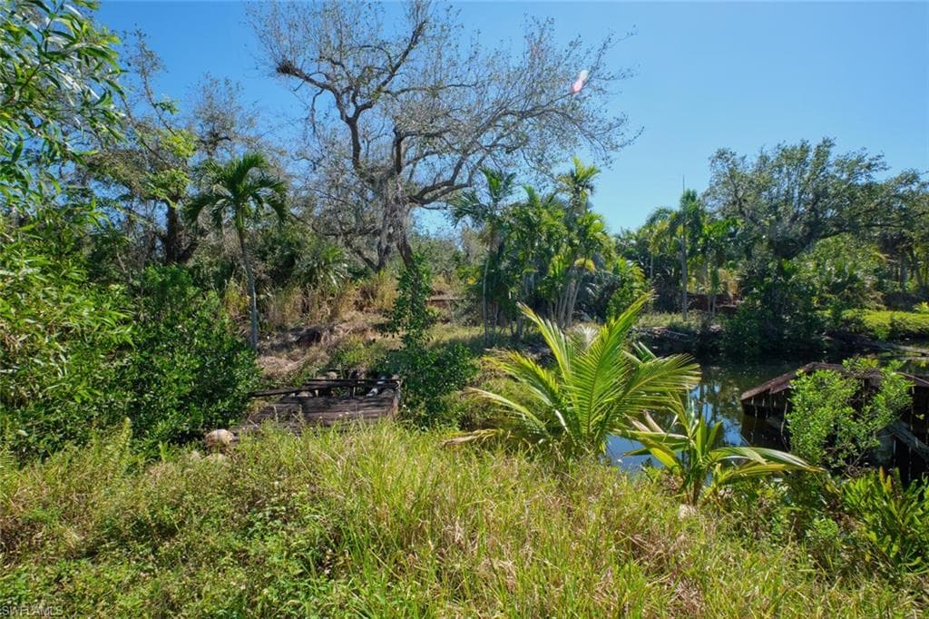 15341 Will Lew LN-42