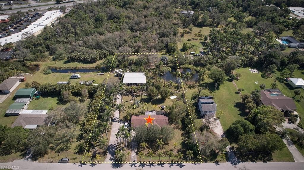 15341 Will Lew LN-1