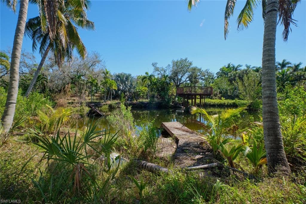 15341 Will Lew LN-5