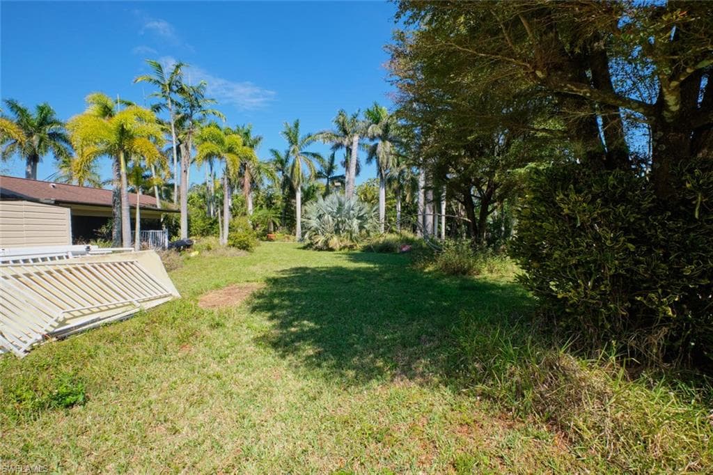 15341 Will Lew LN-41