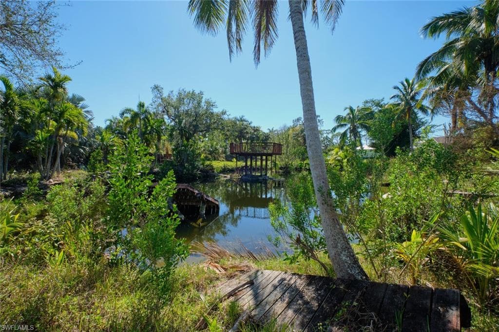 15341 Will Lew LN-4