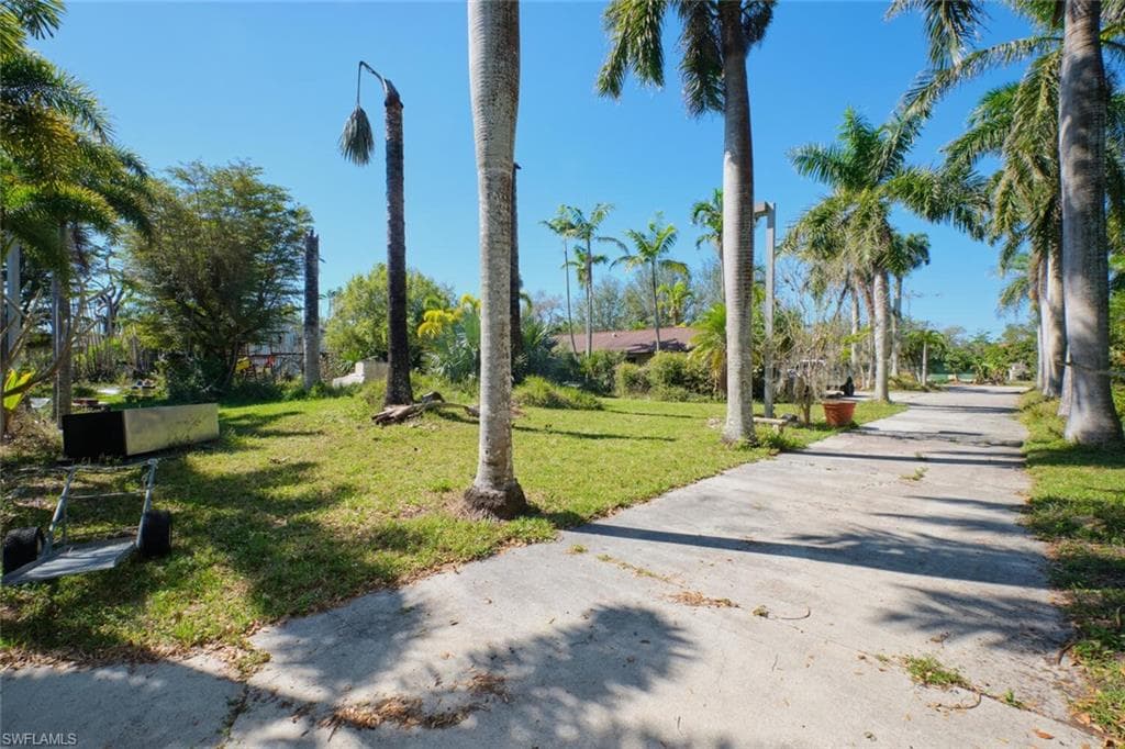 15341 Will Lew LN-25