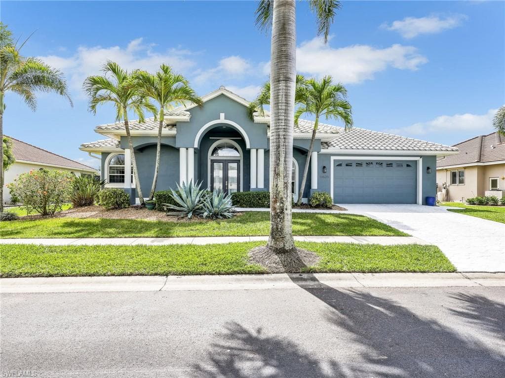 13621 China Berry WAY-1