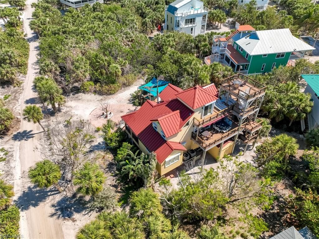 4541 Conch Shell DR-6