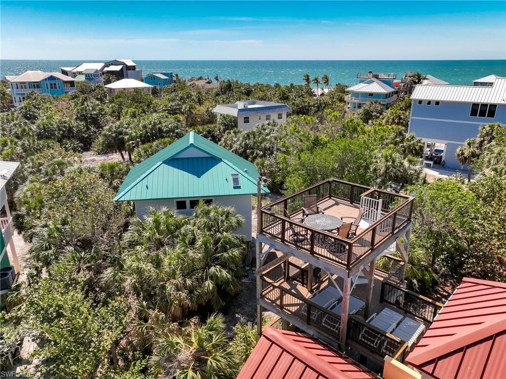 4541 Conch Shell DR-7