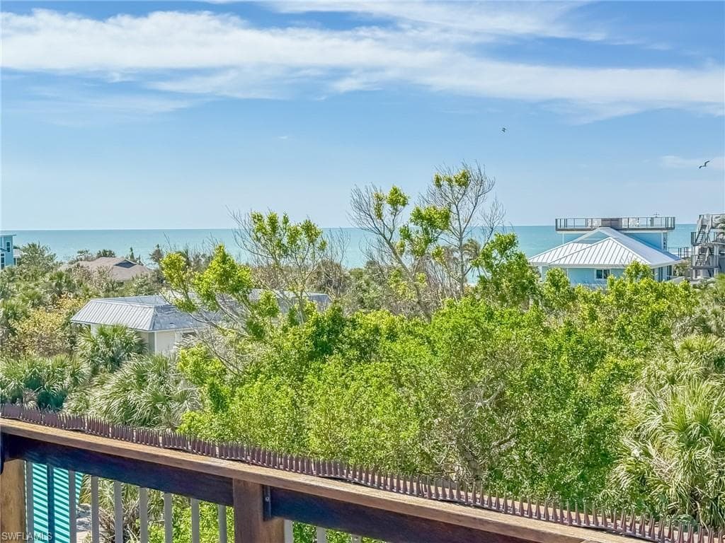 4541 Conch Shell DR-31