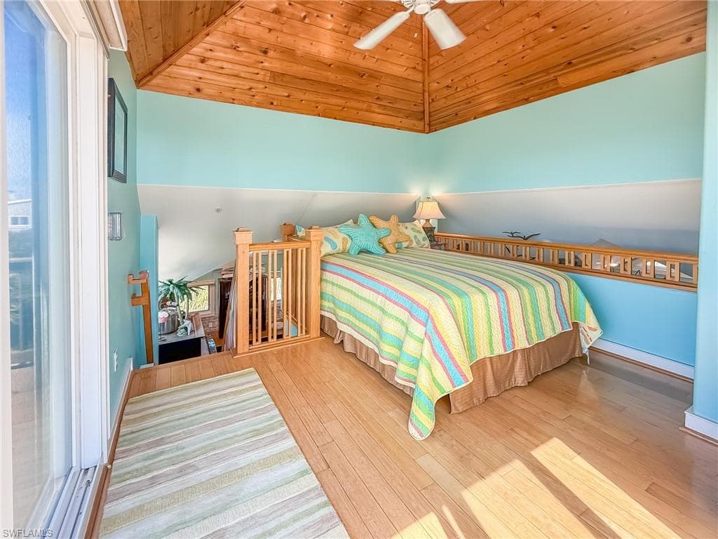 4541 Conch Shell DR-29