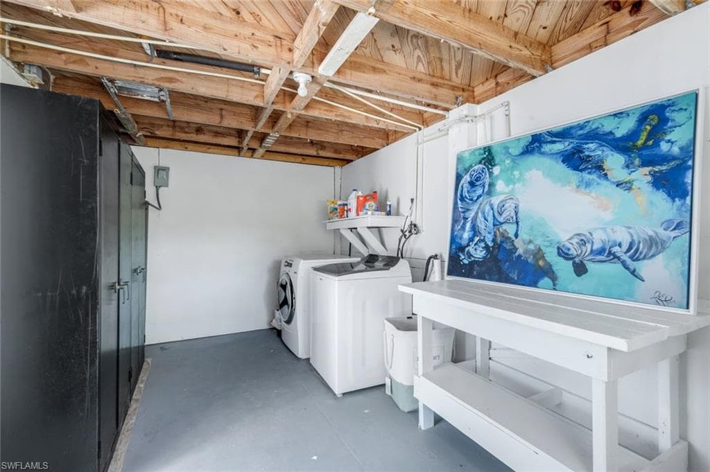 746 Cardium ST-23