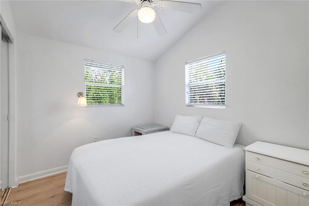 746 Cardium ST-14